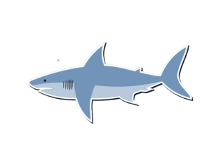 Cartoon illustration of a blue shark