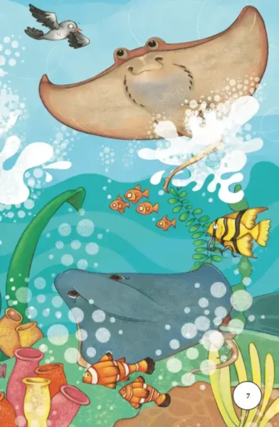 Little Ray Nature Adventures